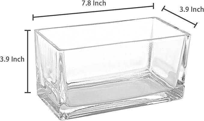 MyGift 7.8 inch Modern Rectangular Glass Vase, Trough Planter, Tabletop Glass Terrarium