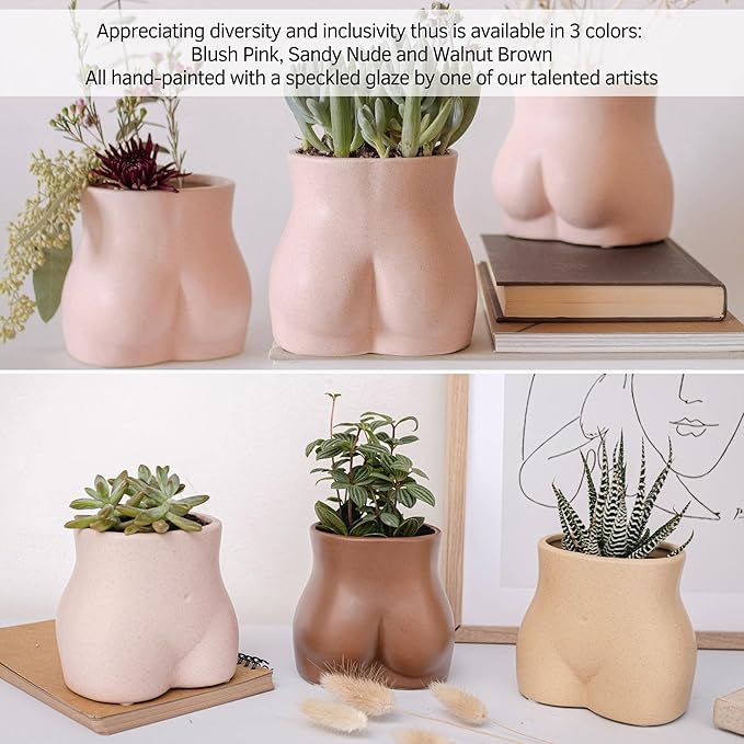 BASE ROOTS Plant Pot Ceramic Planter Vase with Drainage for Succulents, Cactus, Flowers - Ideal for Boho Indoor & Outdoor Garden, Aesthetic Living Room, Bedroom, Desk Organizer Decor & Gift Idea