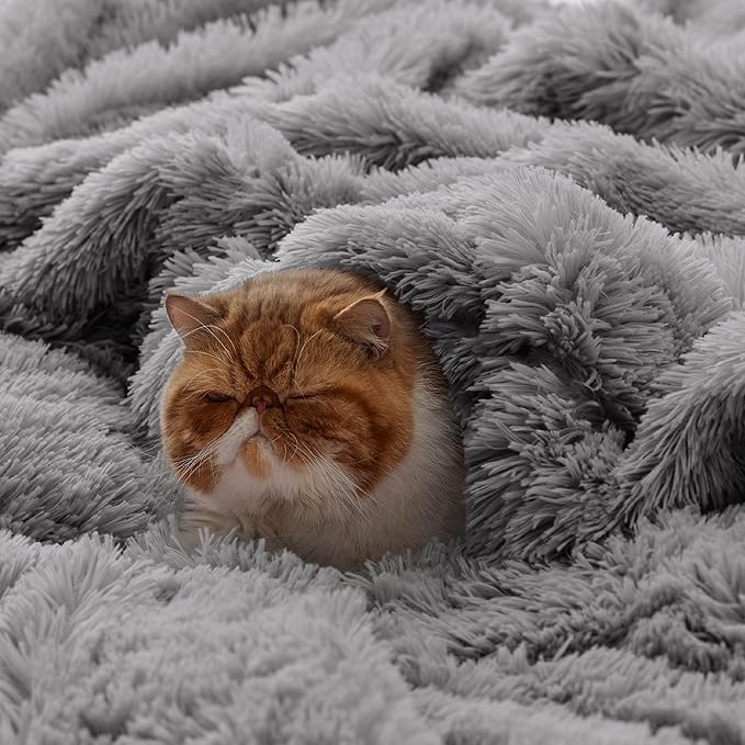 Bedsure Fuzzy Sherpa Faux Fur Twin Blanket Grey Cozy Gifts for Women Men, Soft Fleece Plush Warm Minky Thick Blanket Twin Size for Bed, Couch, Room Decor Dorm Essentials Grey Decor Gifts, 60x80