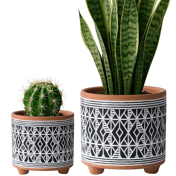 D'vine Dev Set of 2 Terracotta Planter Pots, 4 Inch & 6 Inch, Design Plants Pot with Drainage Hole, Midnight Weave, Terracotta/Black, 31-953-G-2