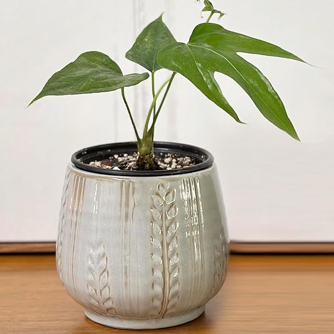 Admired by Nature 4.5" Ceramic Flower Planter, Ceramic Pot Planter, Indoor Ceramic Bowl, Houseplant Ceramic Pot, Decorative Planter for Indoor Plant Succulent Plant Home Décor, Lightweight, Lt.Blue