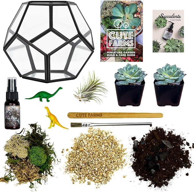 Cute Farms Glass Terrarium Kit | Just Add Your Own Plants (Geometric Glass + Live Plants)
