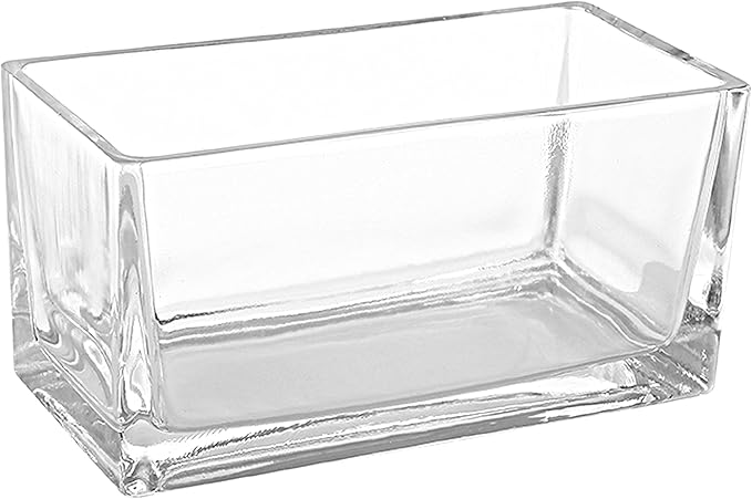 MyGift 7.8 inch Modern Rectangular Glass Vase, Trough Planter, Tabletop Glass Terrarium