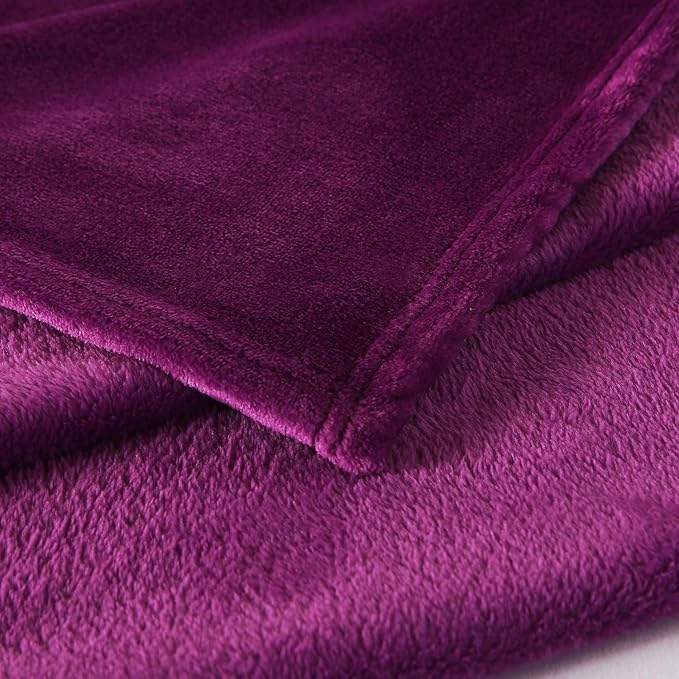 TASTHROW Large Flannel Fleece Throw Blanket, 50×70 Inch - Cozy Lightweight Thick Blanket - All Seasons Suitable for Women, Men and Kids (Two Pack, Purple)