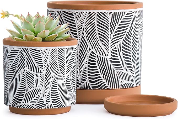 D'vine Dev Set of 2 Terracotta Pots, Leaves Pattern Planter Pot, 4 Inch and 6 Inch, Pot with Drainage Hole and Saucer, Terracotta/Black, 31-958-I-2