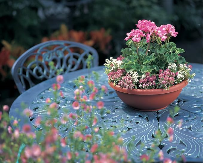 The HC Companies 20 Inch Large Garden Bowl Planter - Shallow Plant Pot with Drainage Plug for Indoor Outdoor Flowers, Herbs, Chocolate