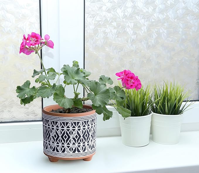 D'vine Dev Set of 2 Terracotta Planter Pots, 4 Inch & 6 Inch, Design Plants Pot with Drainage Hole, Midnight Weave, Terracotta/Black, 31-953-G-2