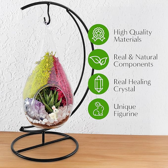7" Teardrop Glass Succulent Terrarium Kit for Kids and Adults, Reindeer Moss, Crystal & Rocks, Tools, Figurine, Metal Hanger (Live Plant Included)