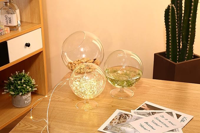 WGV Planter Terrarium with Stand, Ball Diameter 5" Height 6", Clear Glass Floral Container Vase, DIY Succulents Outdoor Garden Home Office Decor Slant Cut Orb, 1 Piece