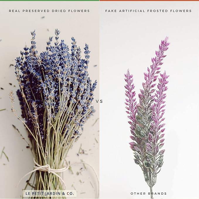 Reed Diffusers - Oil Sticks Diffuser Set with Real Dried Flowers - Reed Diffusers for Home, Bathroom & Office | Air Freshener Fragrance Sticks for Shelf Decor & Gifts by Le Petit Jardin & Co.