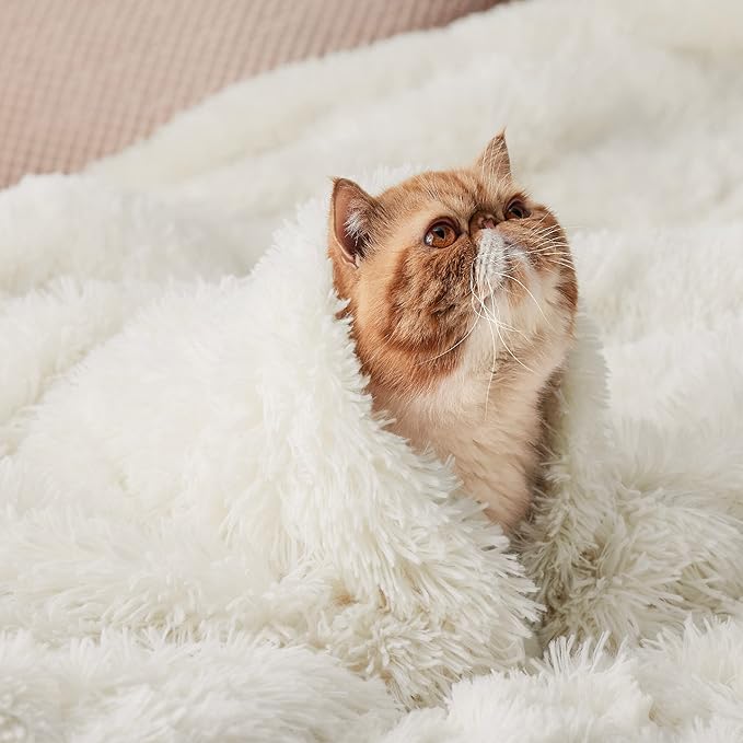 Bedsure Fuzzy Sherpa Faux Fur Twin Blanket Cream Cozy Gifts for Women Men, Soft Fleece Plush Warm Minky Thick Blanket Twin Size for Bed, Couch, Room Decor Dorm Essentials Cream Decor Gifts, 60x80