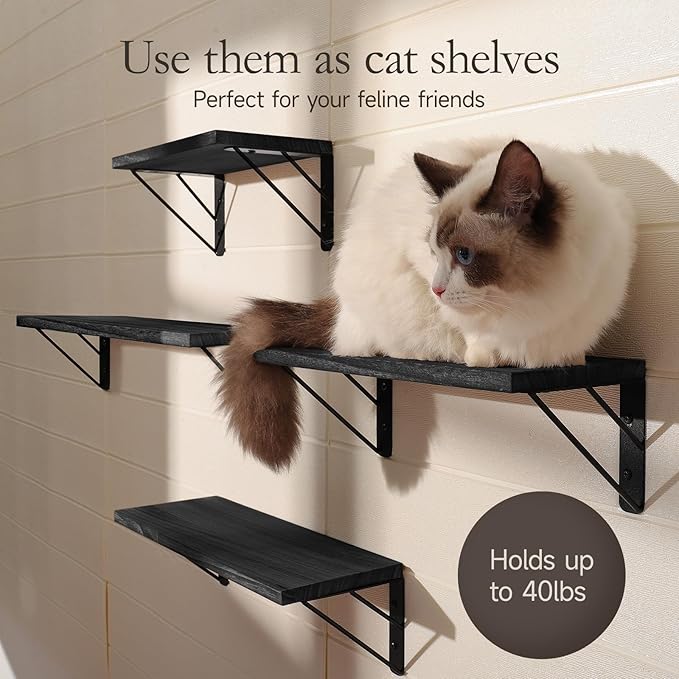 BAYKA Wall Shelves for Bedroom Decor, Floating Shelves for Wall Storage, Display Mounted Rustic Wood Shelf for Books,Plants,Corner Shelves for Bathroom,Kitchen,Living Room(Set of 4)