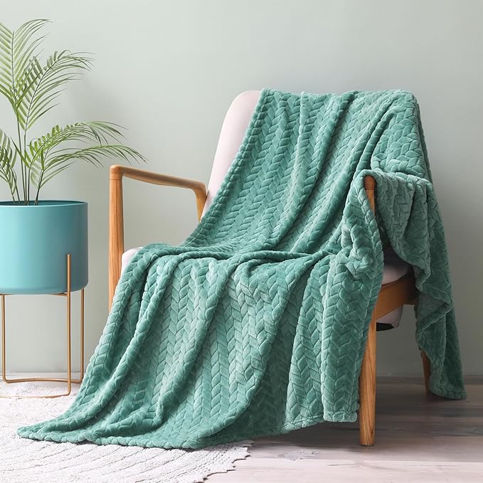Exclusivo Mezcla Celadon Fleece Throw Blanket for Couch and Bed, 50x70 Inches Soft Cozy Jacquard Flannel Blankets, Lightweight Fuzzy Plush Warm Throws for All Seasons