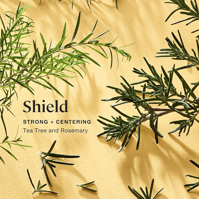 Sprig by Kohler Tea Tree + Rosemary Bath Bomb, Hypoallergenic, Made with Natural Botanicals & Premium Skincare Ingredients (Shea Butter, Coconut Oil, & Kaolin Clay) to Purify and Center - Shield