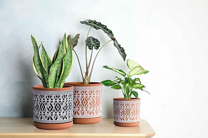 D'vine Dev Set of 2 Terracotta Pots, Diamond Pattern Planter Pot, 4 Inch and 6 Inch, Pot with Drainage Hole and Saucer, Terracotta/Black, 31-958-G-2