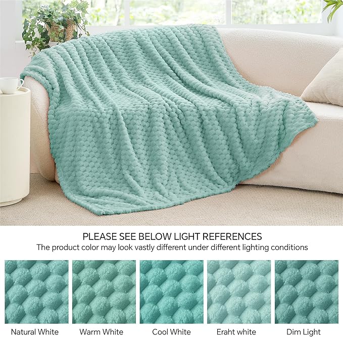 BEDELITE Jacquard Blanket - 3D Fleece Decorative Haze Blue Throw Blanket, Super Soft and Cozy Warm Fuzzy Blanket All Seasons Suitable, 50x60Inches