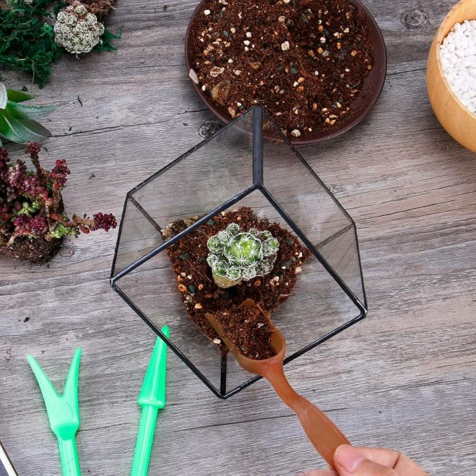 Glass Geometric Plant Terrarium Container, Flower Pot Tabletop Planter Decor Glass Display Box Succulent & Air Planter for Home Garden Office Decoration(Black Cubic Set of 2)