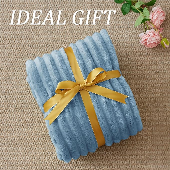 BEDELITE Twin Blanket for Couch & Bed, 300GSM Soft & Warm Fleece Blanket, Decorative and Giftable Striped Light Blue Blankets for Women, Men, 60"x80"