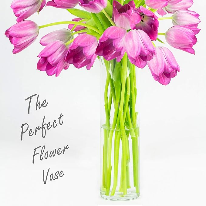CYS Excel Clear Glass Cylinder Vase (H:20" D:4") | Multiple Size Choices Glass Flower Vase Centerpieces | Hurricane Floating Candle Holder Vase