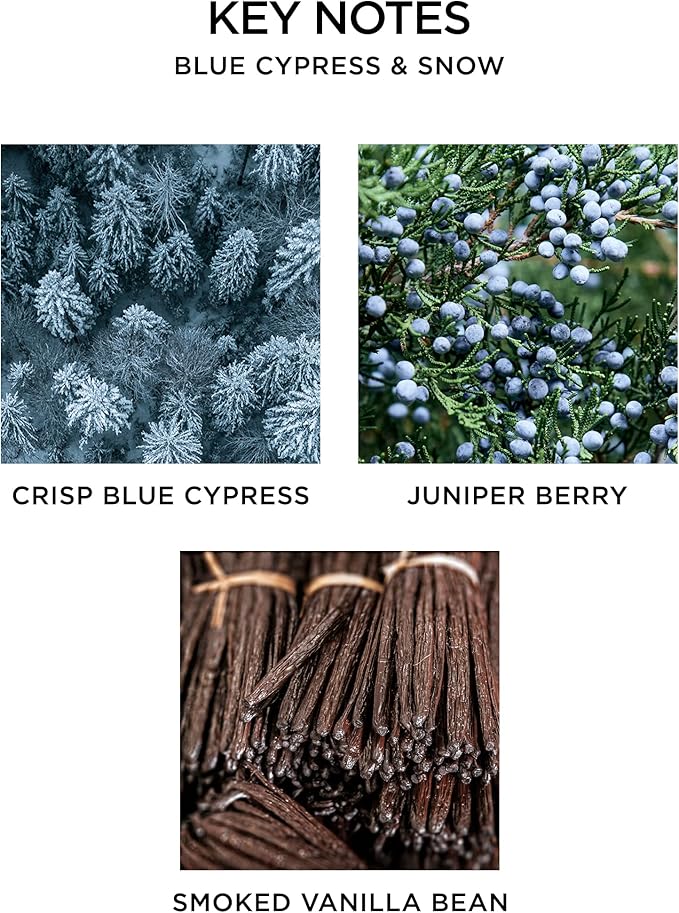 NEST New York Blue Cypress & Snow Reed Diffuser