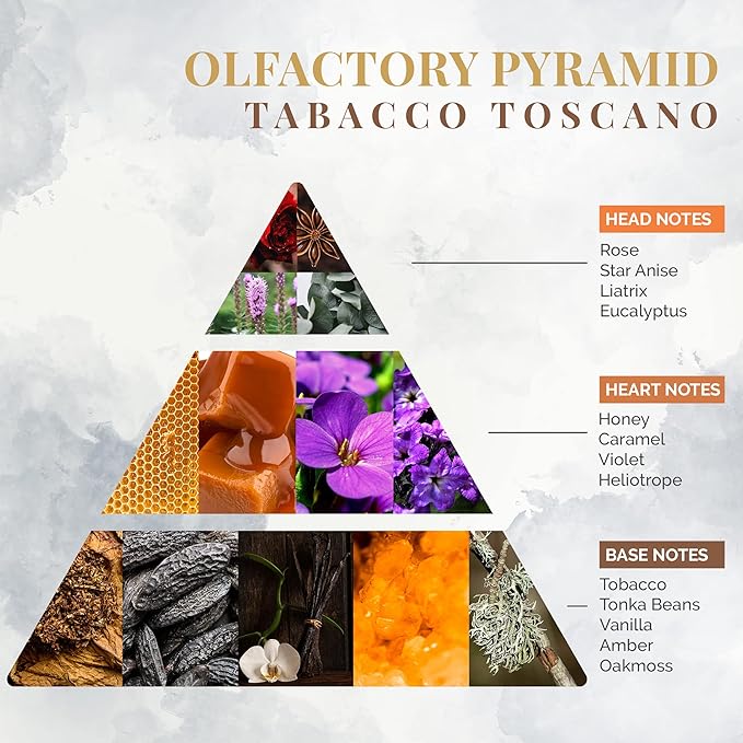 Logevy Firenze 1965 Tabacco Toscano – Tuscan Tobacco Luxury Home Fragrance Diffuser from Master Perfumer in Italy with Sweet Musky Notes in Elegant Glass Bottle with 10 Natural Bamboo Reeds – 250ml