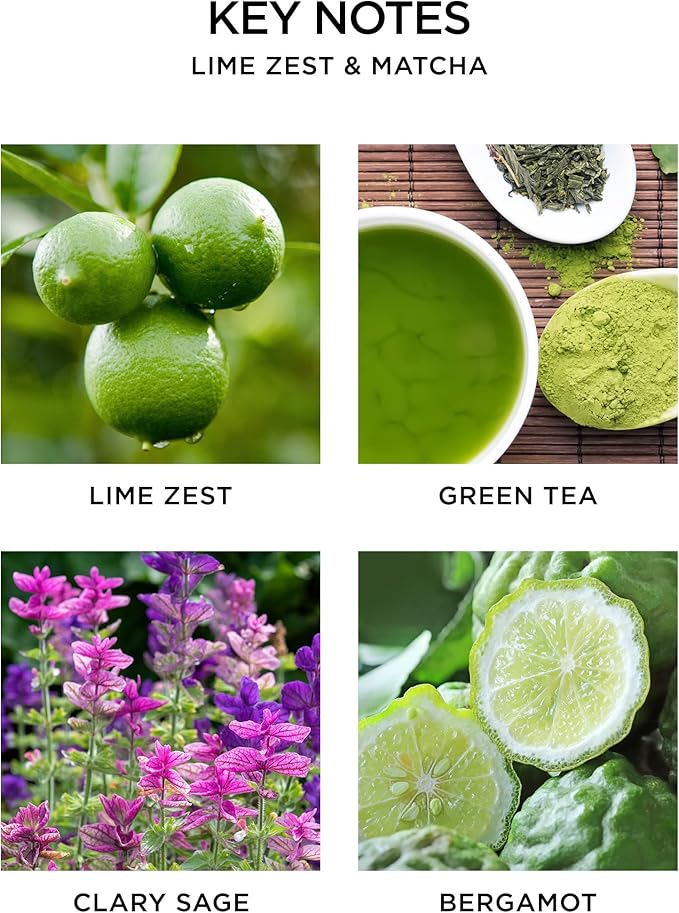 NEST New York Reed Diffuser, Lime Zest & Matcha - 5.9 fl oz - Fragrance for Up to 90 Days - Reusable, Refillable Glass Holder - Includes 8 All-Natural Reed Sticks - Flame Free