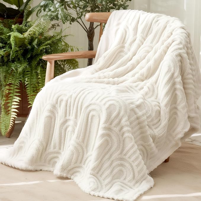 Bedsure Twin Blanket for Bed - Cozy Soft Blankets for Women, Cute Small Fleece Throws for Girls, Graduation Decorations Gift for Her Him School Dorm, White, 60x80 Inches