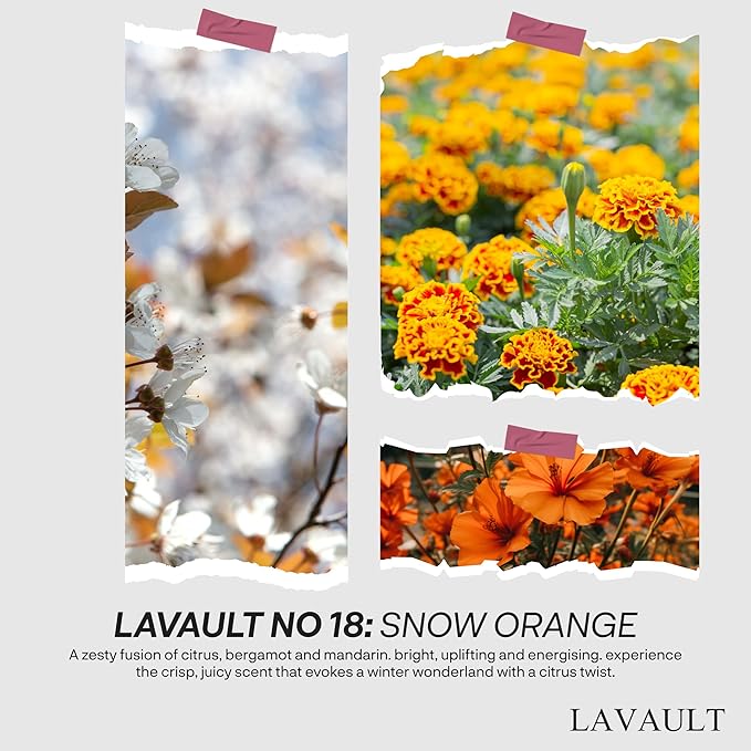 Scented Diffuser - Glass Jar with Dried Herbs and Flower - Reed Diffuser Gift Set - Long-Lasting Fragrance and Relaxing Atmosphere - Bathroom Fragrance - Snow Orange