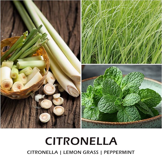 Citronella Scented Candles for Men, Outdoor Summer Gifts for Father Dad & Boyfriend, Soy Jar Candle for Home Scented (7oz)