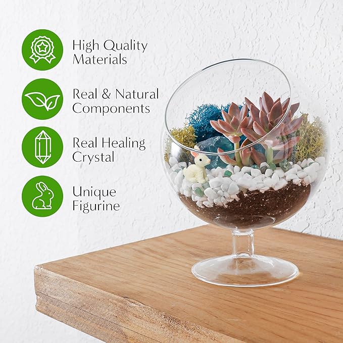 6" DIY Chalice Terrarium Kit with Live Plants - Build Your Own Glass Terrarium for Adults & Kids with Moss, Crystals, Soil, Tools & Figurine - Mini Ecosystem - Made in The USA