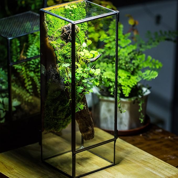 NCYP Closed Glass Terrarium with Door - 3.9x3.9x11.8 Inches Rectangular Tall Planter Box for Fern, Succulent Plants, Home Garden Tabletop Decor, Handmade (Terrarium Only)
