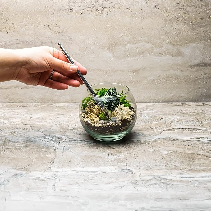 Cute Farms Glass Terrarium Kit | Just Add Your Own Plants (One Glass Bowl)