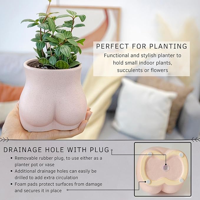 BASE ROOTS Plant Pot Ceramic Planter Vase with Drainage for Succulents, Cactus, Flowers - Ideal for Boho Indoor & Outdoor Garden, Aesthetic Living Room, Bedroom, Desk Organizer Decor & Gift Idea
