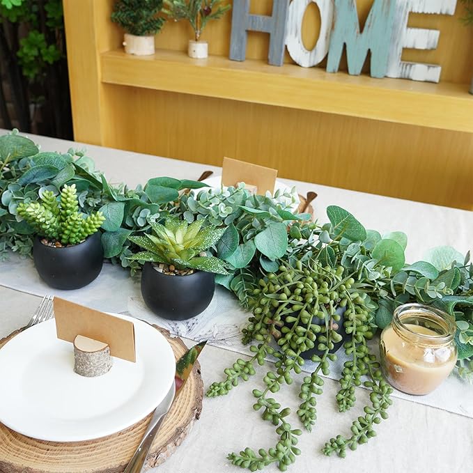 Winlyn Set of 3 Artificial Succulents Plants in Black Cement Planters Faux Potted Plants Aloe String of Pearls Donkey Tail Small House Plants 5" Tall for Table Shelf Home Office Bathroom Living Room