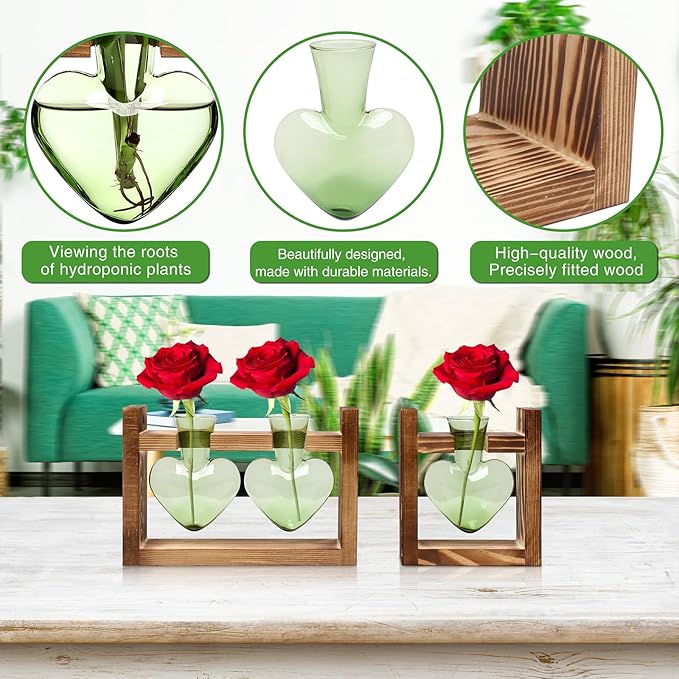 2+1 Plant Terrarium Plant Propagation Station Birthday Gifts for Women Plant Lovers Home Office Decor with Wooden Stand