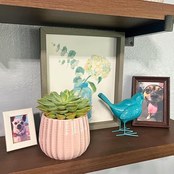 Admired by Nature 4" Ceramic Flower Planter, Ceramic Pot Planter, Indoor Ceramic Bowl, Houseplant Ceramic Pot, Decorative Planter for Indoor Plant Succulent Plant Home Décor, Lightweight, Light Pink