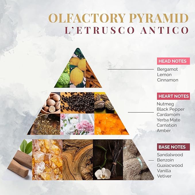 Logevy Firenze 1965 L’Etrusco Antico – The Ancient Etruscan Luxury Home Fragrance Diffuser from Master Perfumer with Spicy & Woody Notes in Elegant Glass Bottle with 10 Natural Bamboo Reeds – 250ml