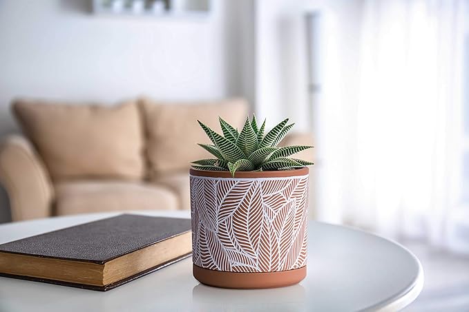 D'vine Dev Set of 2 Terracotta Pots, Leaves Pattern Planter Pot, 4 Inch and 6 Inch, Pot with Drainage Hole and Saucer, Terracotta/White, 31-958-I-1