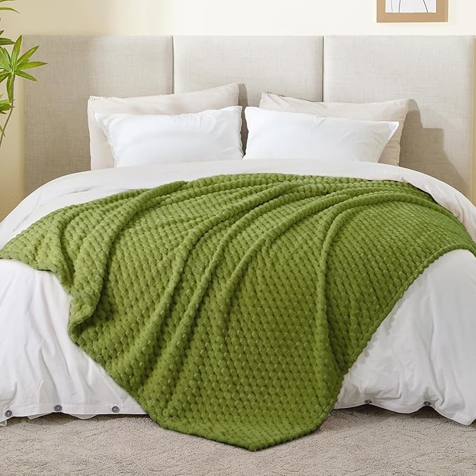 BEDELITE Fleece Blanket Twin for Bed Couch, 3D Jacquard Decorative Green Apple Throw Blanket, Soft and Cozy Warm Plush Fuzzy Blanket All Seasons Suitable, 60x80Inches