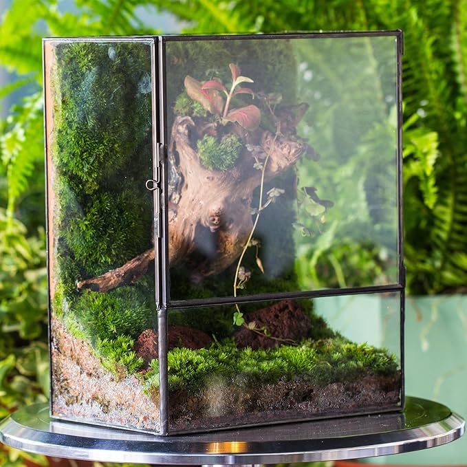 NCYP Close Glass Terrarium with Door - 7.8 x 5.1 x 9.8 Inches Geometric Landscape Clear Planter for Succulent Plants - Indoor Tabletop Centerpiece, Garden Decor (Terrarium Only)