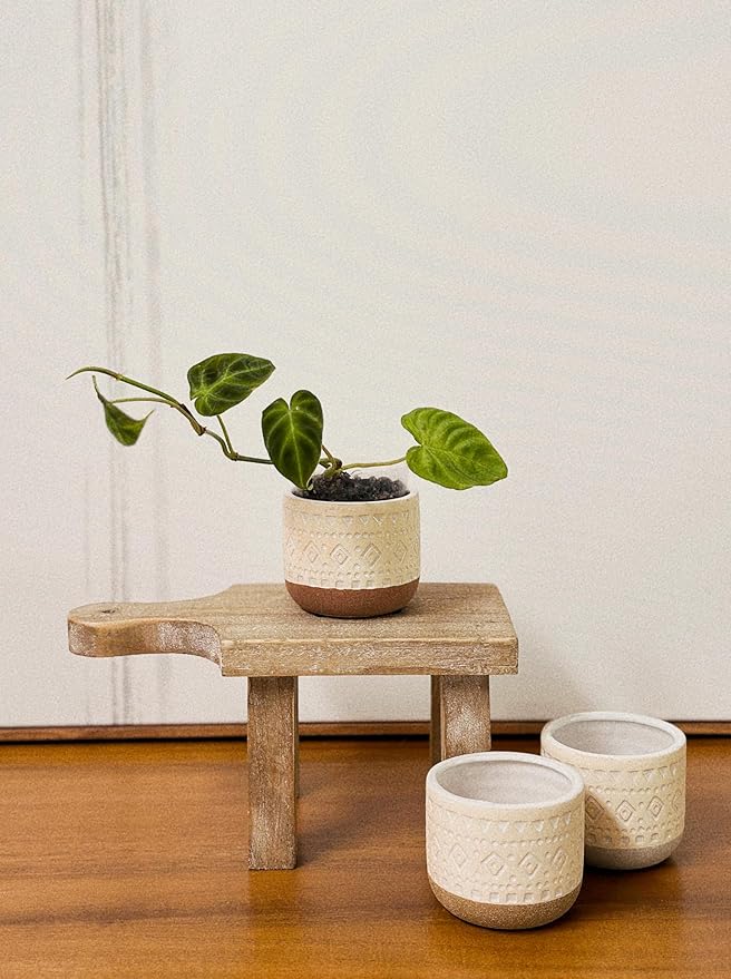 Admired By Nature Set of 3 Modern 3" Ceramic Flower Plant Planters, Ceramic Pot Planter Indoor Ceramic, Houseplant Cactus Ceramic Pot, Decorative Planter for Indoor Succulent Plant Home Décor, Tan