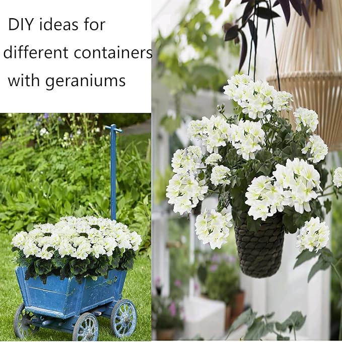 2 Pcs Artificial Geraniums for Outdoor Silk Geranium Flowers White Artificial Geranium Bush Faux Flowers Geraniums Branch for Garden Patio Grave Cemetary Vase Table Centerpiece Indoor Decor