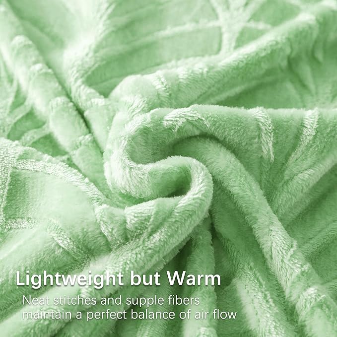 Whale Flotilla Flannel Fleece Queen Size Blanket for Bed, Soft Fluffy Velvet Bedspread Coverlet with Decorative Vintage Pattern for All Season, Warm and Lightweight, 90x90 Inch, Light Green