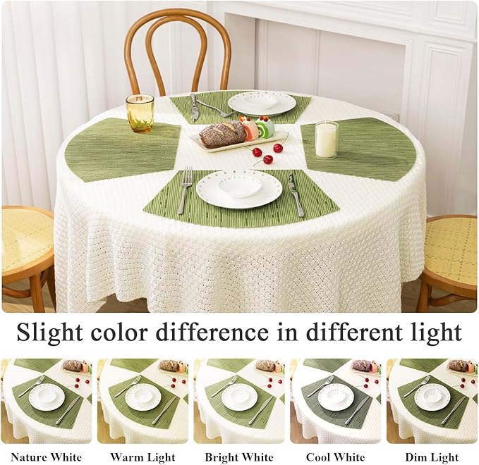 SHACOS PVC Woven Vinyl Wedge Placemats Set of 4 Round Table Placemats Wipe Clean Heat Resistant Round Table Mats (4, Green)