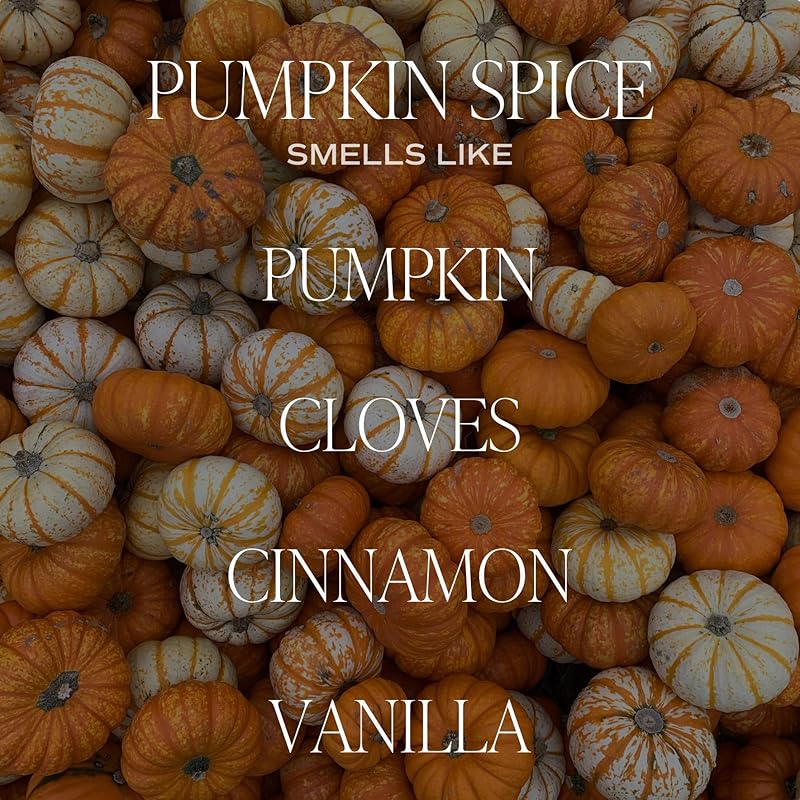 Sweet Water Decor Pumpkin Spice Reed Diffuser Set for Home - Pumpkin, Cloves, Cinnamon, Vanilla Scented Reed Diffusers for Fall - Air Freshener Lasts 4+ Months, Made in the USA