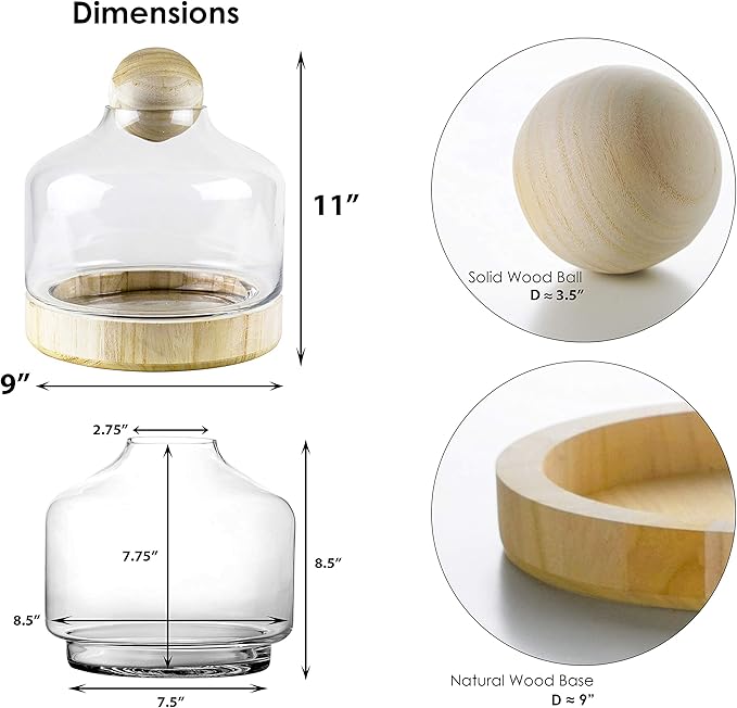 CYS EXCEL Glass Terrarium Container (H:11" W:9") | Multiple Size Choices Planter Jars with Wood Base & Lid | Plant Terrarium Bowl Vase