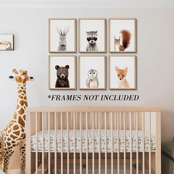 Nursery Baby Room Wall Art Decor, Jungle Nursery Baby Animals Nursery Decorations, Cute Nursery Safari Decor Baby Bedroom Decorate(8"x10", UNFRAMED) (Forest)