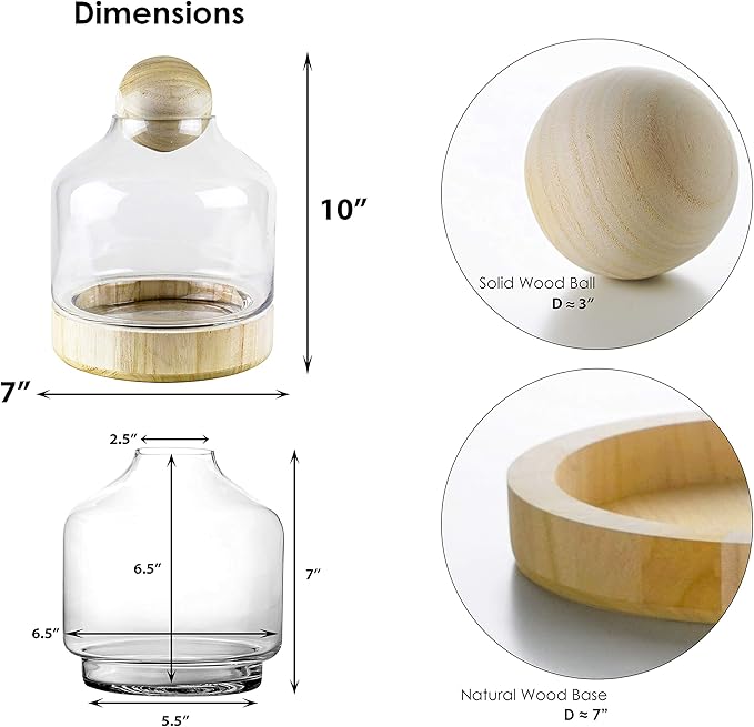 CYS EXCEL Glass Terrarium Container (H:10" W:7") | Multiple Size Choices Planter Jars with Wood Base & Lid | Plant Terrarium Bowl Vase