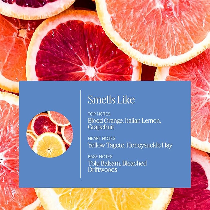 Aera Mini Destinations Amalfi Coast - Essential Oil for Home – Fresh & Bright Fragrance - Notes of Blood Orange and Sunshine - Scent Refill - Capsule Size Works with Mini Diffuser