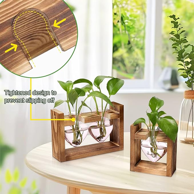 2+1 Plant Terrarium Plant Propagation Station Birthday Gifts for Women Plant Lovers Home Office Decor with Wooden Stand
